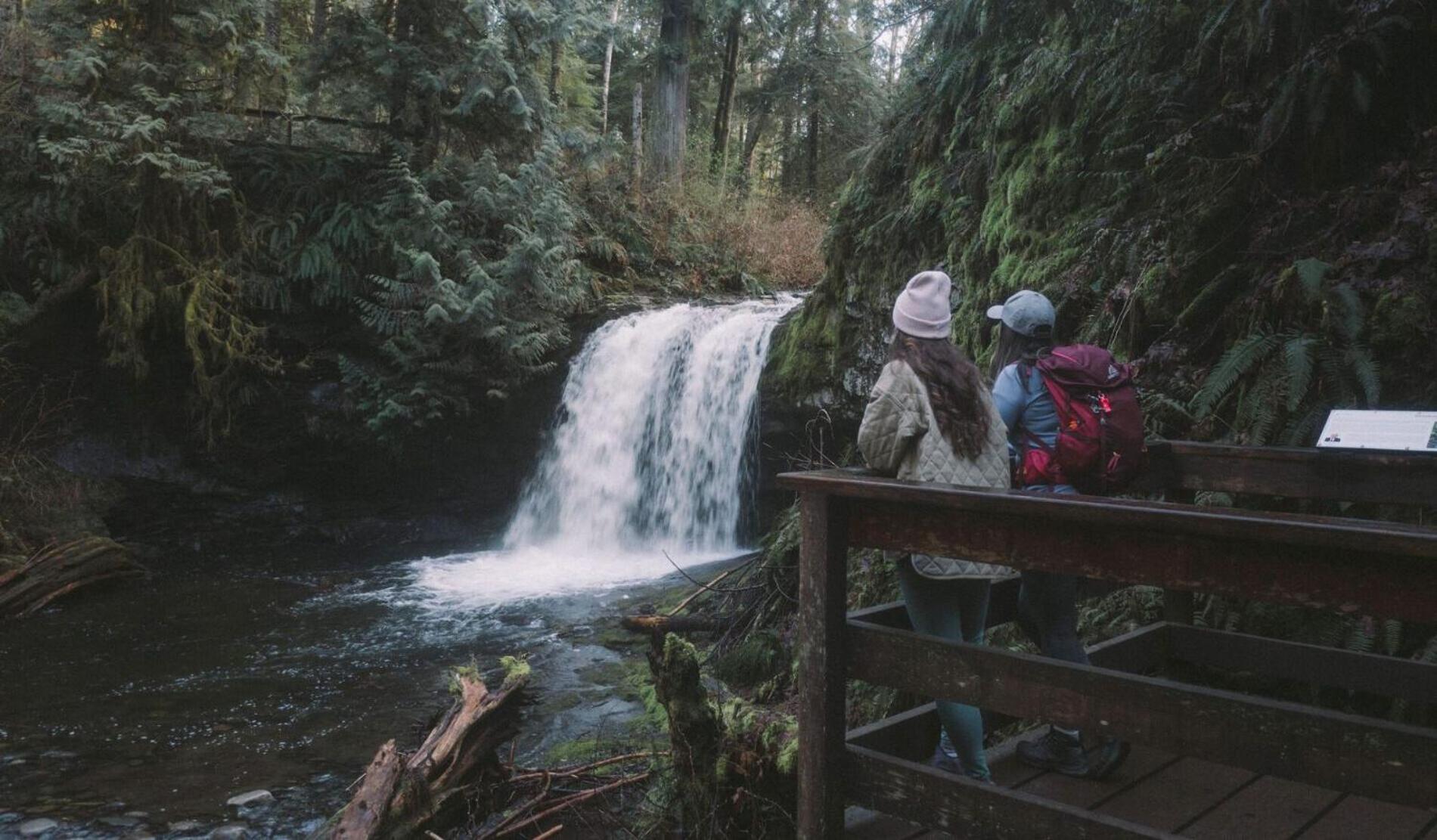 Cowichan Valley Guest Cottage Ladysmith Luaran gambar