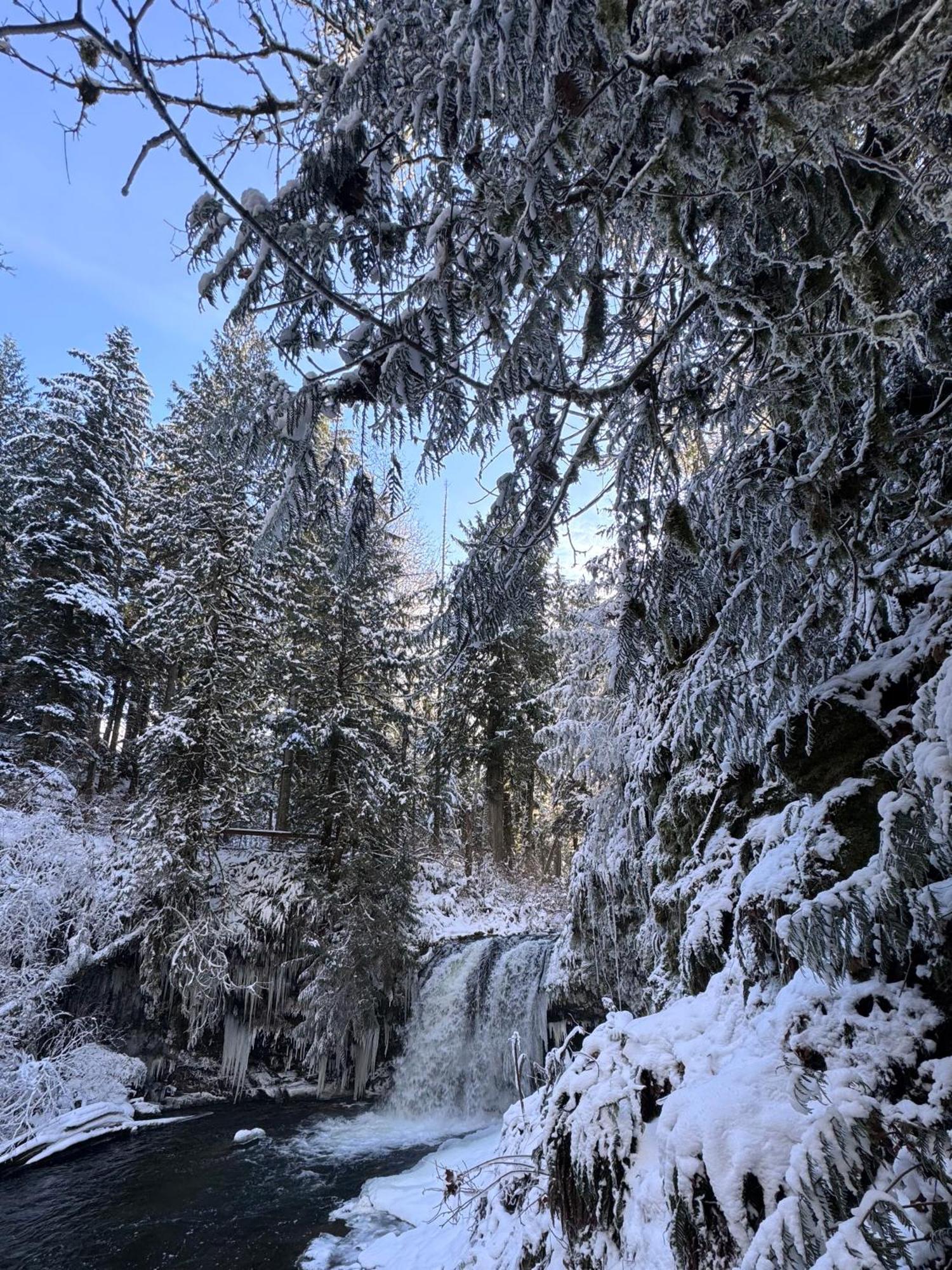 Cowichan Valley Guest Cottage Ladysmith Luaran gambar